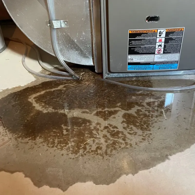 Pipe Burst and Leak Restoration in Sabana Eneas, PR
